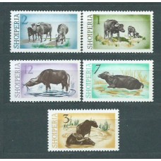 Albania Correo 1965 Yvert 747/51 Mnh ** Animales Fauna