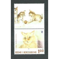 Bosnia - Correo 2007 Yvert 556 ** Mnh Fauna gatos