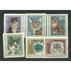 Bulgaria - Correo 1967 Yvert 1505/10 ** Mnh Fauna gatos