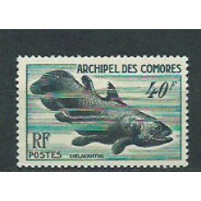 Comores - Correo 1954 Yvert 13 * Mh  Fauna marina