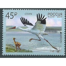 Tema Europa 2019 Rusia Yvert 8001 ** Mnh Aves Nacionales