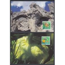 Liechtenstein Tarjetas Maximas Yvert 1086/87 mk 147 - paisajes europa