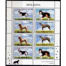  Moldavia - Correo Yvert 489/92 Mini Hojia de 2 series  Fauna - Perros
