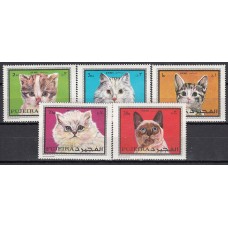 Arabia Sud Este (Fujeira) Correo Yvert 108+A,49 ** Mnh Fauna - Gatos