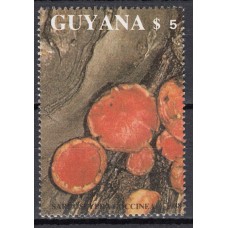 Guayana Britanica - Hojas Yvert 24 recortada ** Mnh Setas