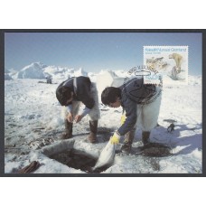 Groenlandia Tarjetas Máximas Yvert 205 - Pescadores