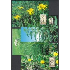 Liechtenstein Tarjetas Maximas Yvert 1057/1060 mk 135 - Flora 1995