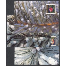 Liechtenstein Tarjetas Maximas Yvert 1100/1102 mk 154 - Flora 1997