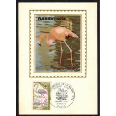 Francia - Carta Postal - Yvert 1634 seda - Fauna Aves Paris 1970
