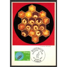 Francia - Carta Postal - Yvert 2137 - Biología Paris 1981