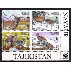 Tadjikistan - Correo Yvert 296/99 ** Mnh Protección de la Naturaleza - WWF - Fauna