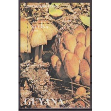 Guayana Britanica Hojas Yvert 24 ** Mnh Setas