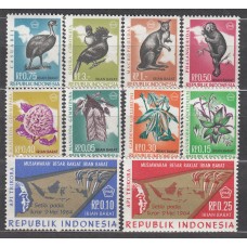 Nueva Guinea Holandesa Correo Yvert 21/30 ** Mnh Fauna