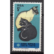 Sud Oeste Africano Correo Yvert 311 ** Mnh Fauna - Gatos