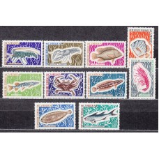 Camerun Correo Yvert 456/65 ** Mnh Fauna - Peces