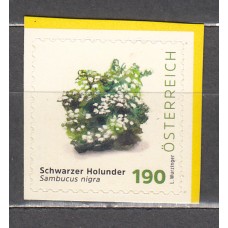 Austria Correo 2025 Yvert 3757 ** Mnh Flora Sambucus nigra