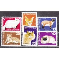 Bulgaria - Correo 1983 Yvert 2790/95 ** Mnh Fauna - Gatos
