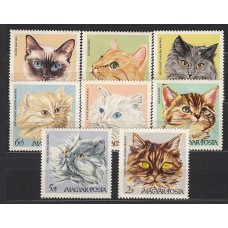 Hungria - Correo 1968 Yvert 1947/54 ** Mnh Fauna gatos