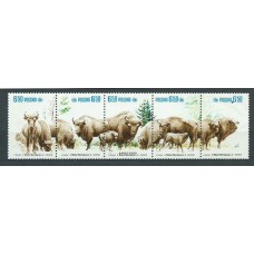 Polonia - Correo 1981 Yvert 2580/4 ** Mnh Fauna. Bisontes