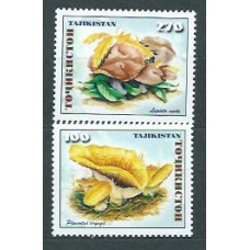 Tadjikistan - Correo Yvert 128/9 ** Mnh Setas